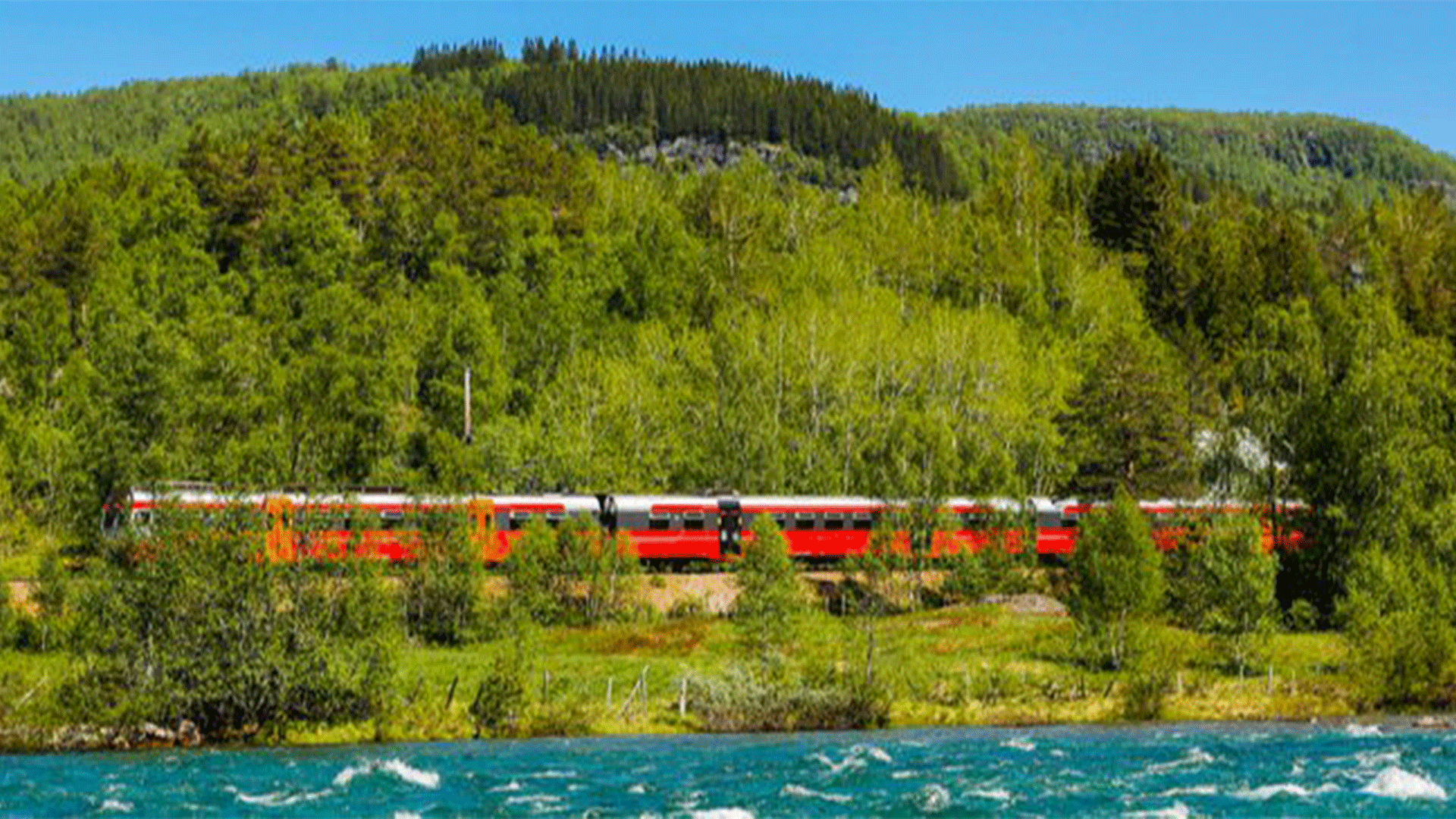 norway-bergen-oslo-railway-summer