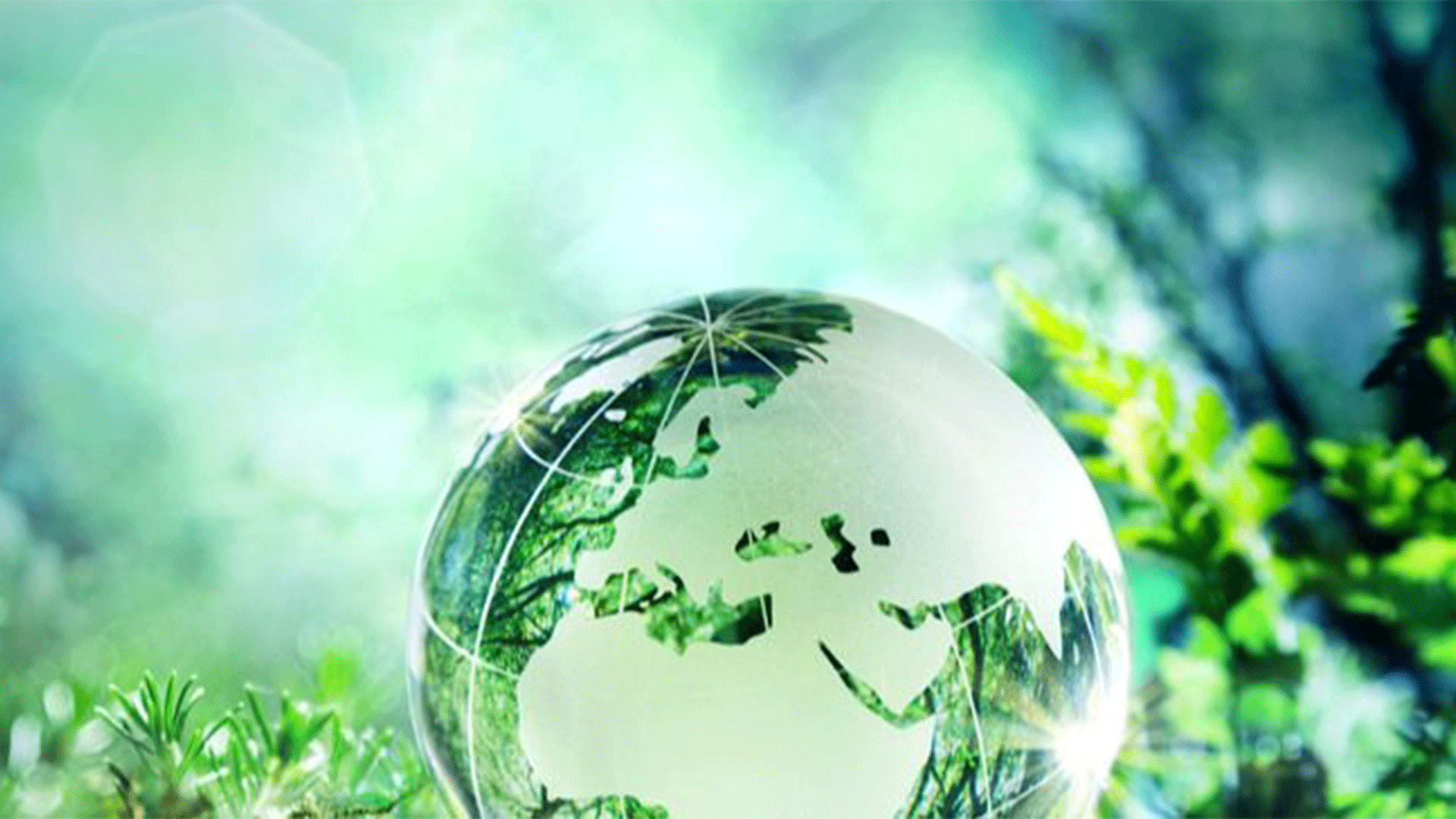 planet-earth-go-green-sustainability
