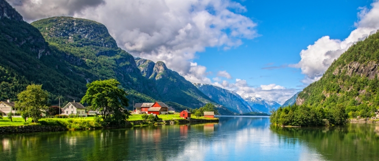 Norway fjord in summer