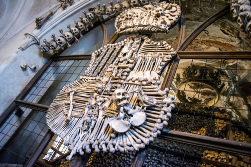 Ein einzigartiges Wappen des Haus Schwarzenberg aus echten menschlichen Knochen 