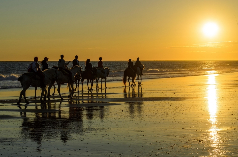 horse_riding_sunset_reflection_on_the_beach_of_mazagon_huelva_andalusia_atlantic_coast_spain
