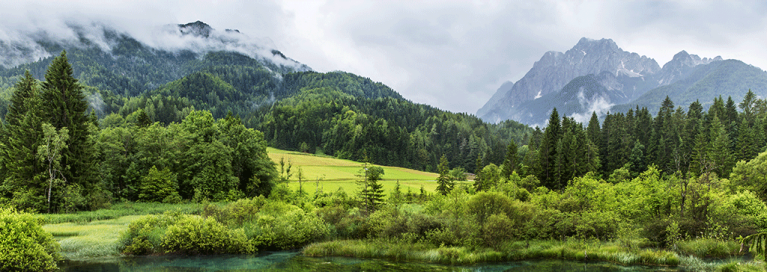 masthead-forest-mountain-panorama-triglav-national-park-sloveni