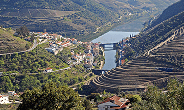 portugal-douro-valley-wine-region
