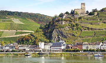rhine-valley-boat-tour-germany