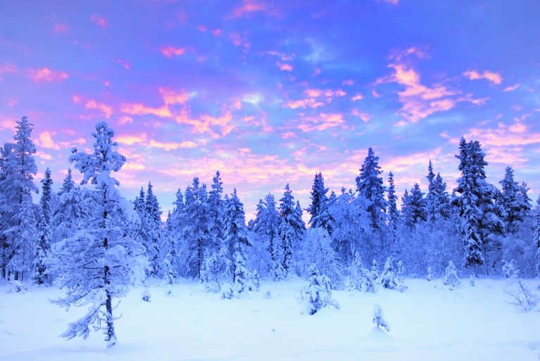 Laponia finlandesa en un día despejado de invierno